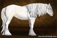 Horse Color:Cremello Dun Tobiano 