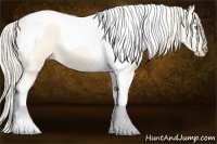 Horse Color:Cremello Dun Tobiano