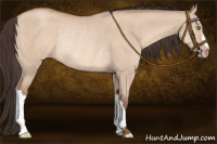 Horse Color:Amber Champagne Dun Rabicano 