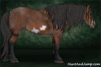 Horse Color:Bay Frame 