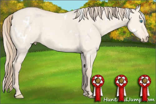 Horse Color: White Spotted Perlino Dun 