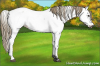 Horse Color:Smoky Grullo Roan Near Fewspot 