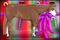 Horse Color:Chestnut Sabino