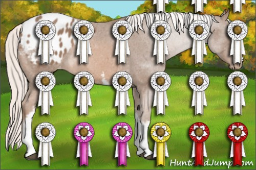 Horse Color: White Spotted Liver Chestnut Mushroom Sabino Blanket Rabicano 