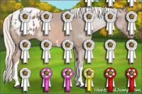 Horse Color:White Spotted Liver Chestnut Mushroom Sabino Appaloosa Rabicano