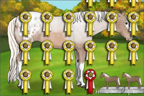 Horse Color: White Spotted Liver Chestnut Mushroom Sabino Blanket Rabicano 