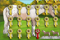 Horse Color:White Spotted Liver Chestnut Mushroom Sabino Appaloosa Rabicano