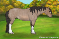 Horse Color:Bay Roan Dun 