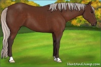 Horse Color:Silver Brown 