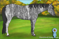 Horse Color:Black Ice 