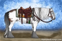 Horse Color:Gray Bay Roan Splash Frame 