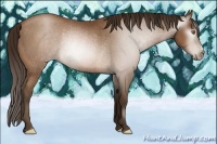 Horse Color:Gray Brown Pearl Rabicano 