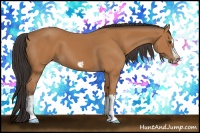 Horse Color:Bay Splash Frame 