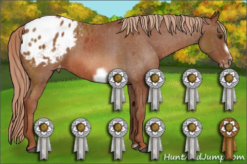Horse Color: Liver Chestnut Frame Blanket 