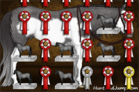 Horse Color:Smoky Blue Roan Splash Frame 