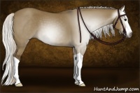 Horse Color:Gray Silver Smoky Grullo Splash 