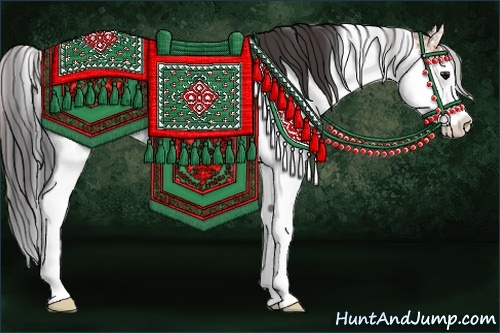 Horse Color: Bay Sabino 