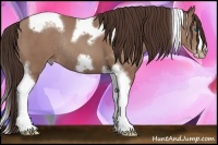 Horse Color:Classic Champagne Tobiano Frame Rabicano