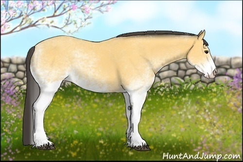 Horse Color: White Spotted Buckskin 