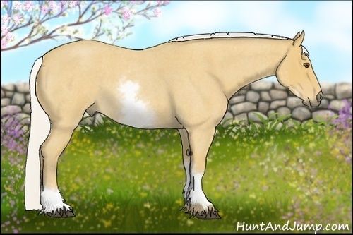 Horse Color: White Spotted Silver Buckskin Roan 