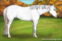 Horse Color:Blue Ice Roan Sabino Blanket