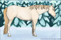 Horse Color:Buckskin Roan Pearl Dun 