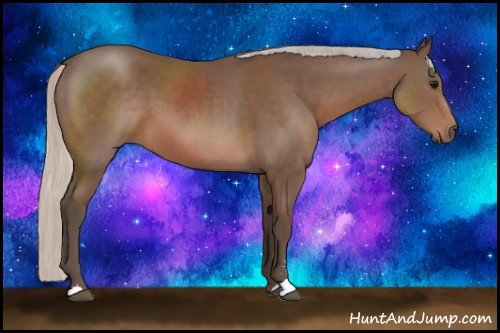 Horse Color: Silver Black Sabino 