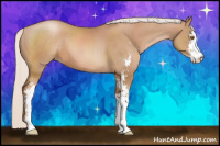 Horse Color:Silver Black Pearl Sabino 