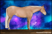 Horse Color:Silver Black Pearl Sabino 