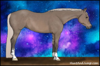 Horse Color:Silver Black Sabino 