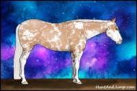 Horse Color:Silver Bay Pearl Sabino 