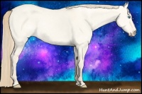 Horse Color:Perlino Dun