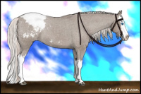 Horse Color:Silver Grullo Splash Varnish Rabicano 