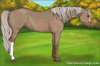 Horse Color:Silver Grullo 