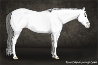 Horse Color:White Spotted Black Blanket 