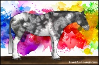 Horse Color:White Spotted Black Splash Tobiano Frame Blanket 