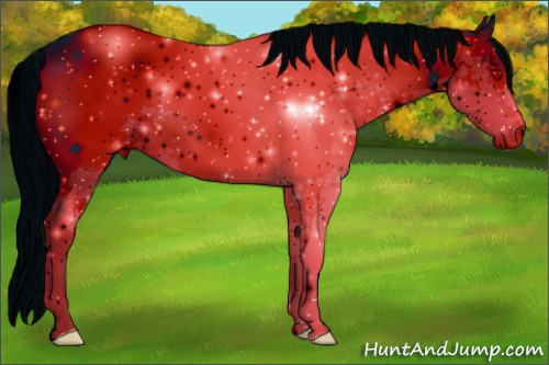 Horse Color: ERROR: UNKNOWN ANOMALY