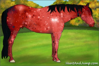 Horse Color:ERROR: UNKNOWN ANOMALY