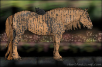 Horse Color:Black  Brindle