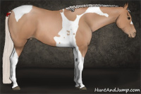 Horse Color:Silver Black Pearl Tobiano 
