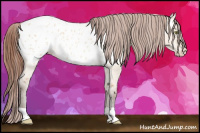Horse Color:Amber Champagne Roan Dun Near Leopard 