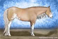 Horse Color:Silver Black Pearl Sabino 