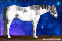 Horse Color:White Spotted Black Ice Frame 