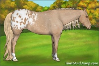 Horse Color:Red Roan Blanket 