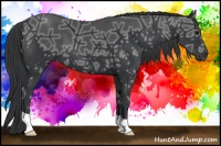 Horse Color:Black Ice 