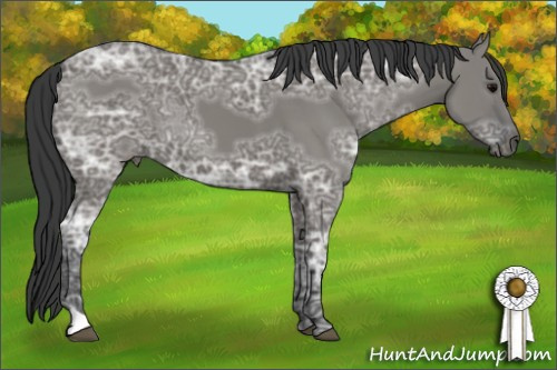 Horse Color: Grullo Ice 