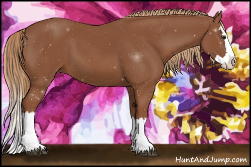 Horse Color: Chestnut Sabino Splash 