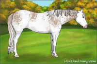 Horse Color:White Spotted Silver Bay Ice Dun Splash 