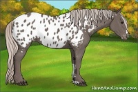 Horse Color:Silver Black Blanket 