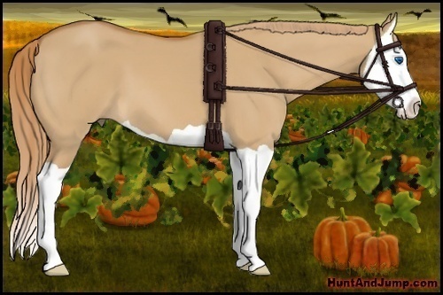 Horse Color: Red Dun Splash 